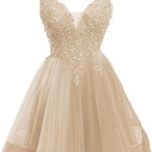 Amazon Lace Embellished Beige Dress
